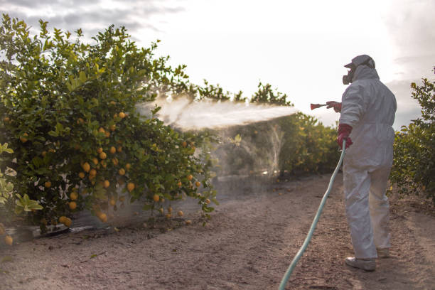 Pest Control for Warehouses in Poquonock Bridge, CT